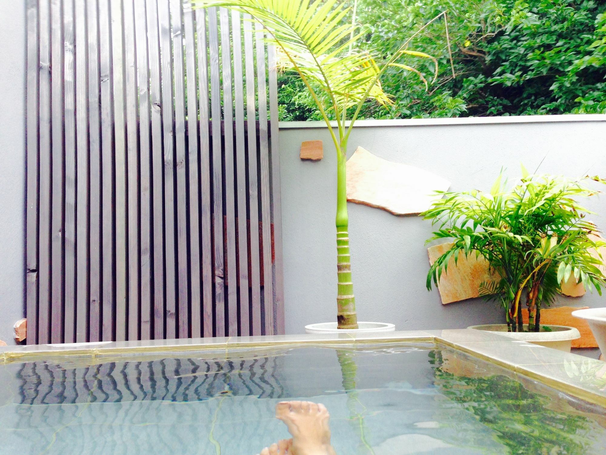 Beach Side Inn Shirahama Shimoda  Bagian luar foto