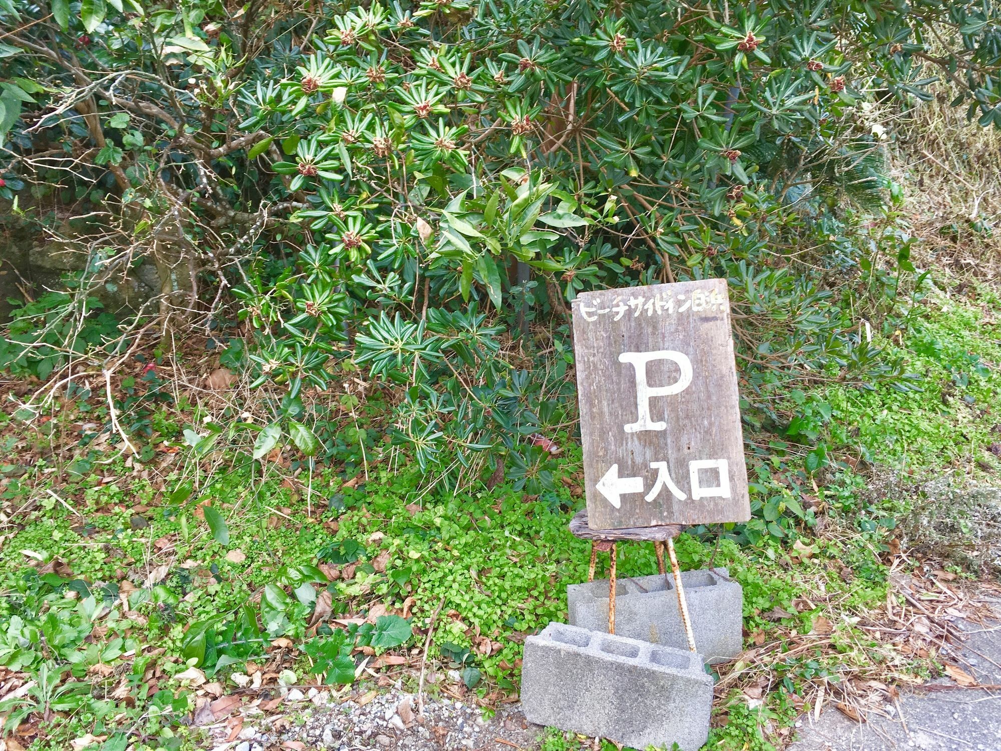 Beach Side Inn Shirahama Shimoda  Bagian luar foto